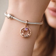 Rose Gold Plated Circle of Stones Charm - Rose Gold Plated Open Circle Stone Charm — worn on wrist