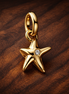 Starfish Double Dangle Charm — display on walnut