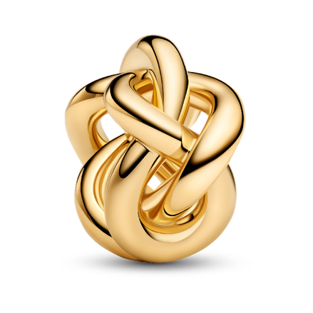 Infinity Knot Charm