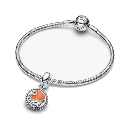 Tropical Hawaii Dangle Charm