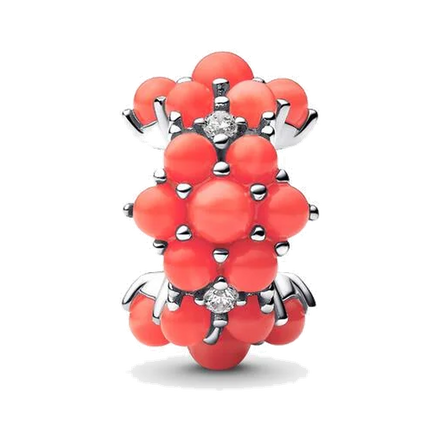 Coral-colored Ocean Charm